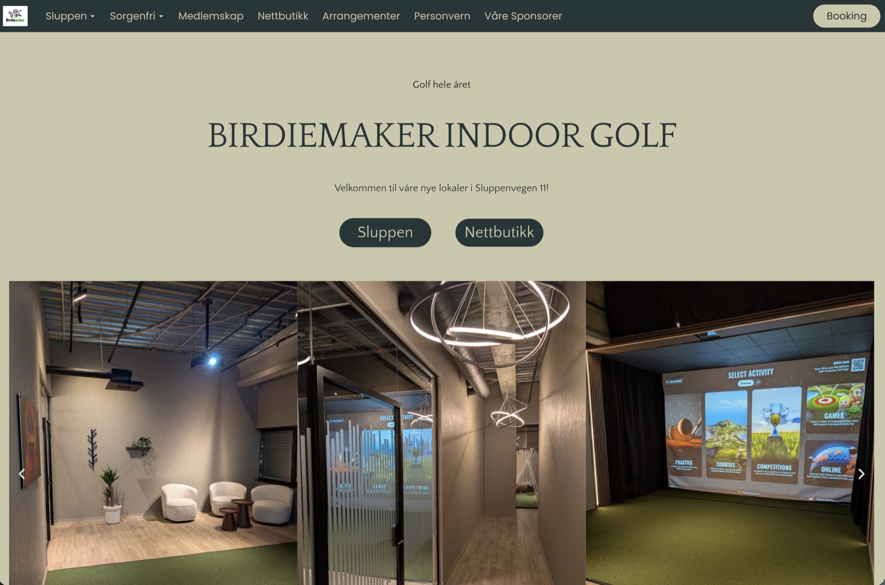 Birdiemaker-nettsiden før redesign